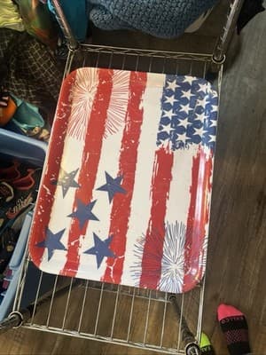 Citrus Grove Patriotic serving Tray Plastic 17” X 13” - Image 1