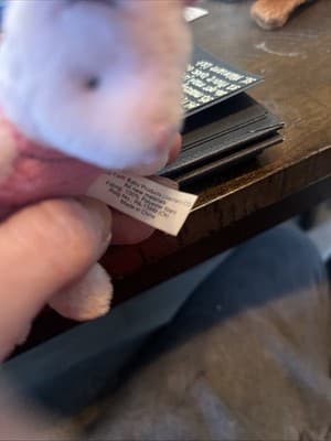 Piglet Plush - Thumbnail 2