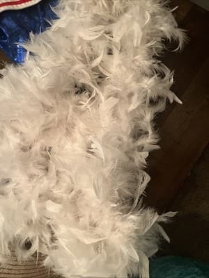 White Feather Boa Ladies Rocky Horror Fancy Dress Accessory White Boa - Image 1