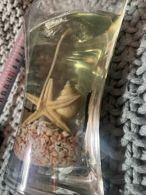 Hurricane Glass Beach Sea Shell Wax Candle - Thumbnail 5