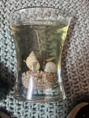 Hurricane Glass Beach Sea Shell Wax Candle - Image 1