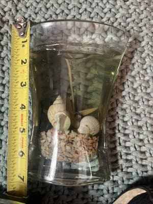 Hurricane Glass Beach Sea Shell Wax Candle - Thumbnail 2