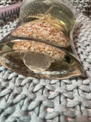 Hurricane Glass Beach Sea Shell Wax Candle - Thumbnail 6