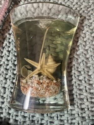Hurricane Glass Beach Sea Shell Wax Candle - Thumbnail 4