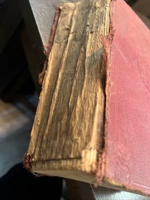 1920s Antique Book The WORKS OF ROBERT LOUIS STEVENSON Hardcover Vol 1 - Thumbnail 2