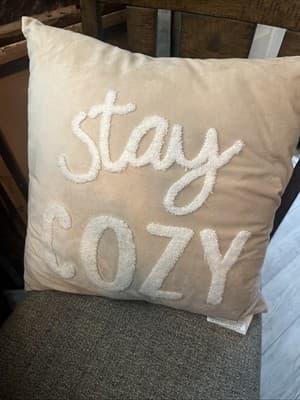 16” X16” Decorative Patio Pillow Beige With White Furry Stay Cozy Text - Image 1