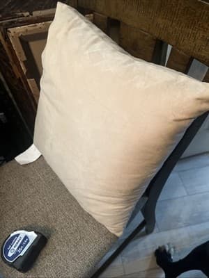 16” X16” Decorative Patio Pillow Beige With White Furry Stay Cozy Text - Thumbnail 5