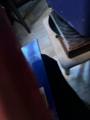 Webster’s New American Dictionary 1956 Hardcover Illustrated Vintage Reference - Thumbnail 3