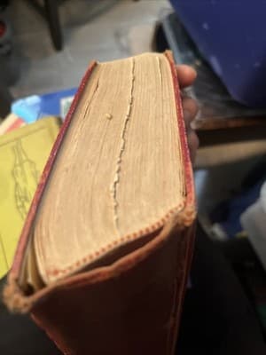 Webster’s New American Dictionary 1956 Hardcover Illustrated Vintage Reference - Thumbnail 4