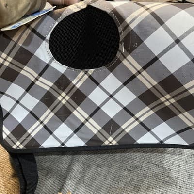 Todays Living Pet Carrier 17.3 X 7.8 X 10.3” - Thumbnail 7