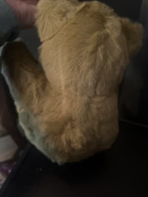 New The Westcliff Collection plush stuffed brown Teddy Bear 10" with all Tags - Thumbnail 7