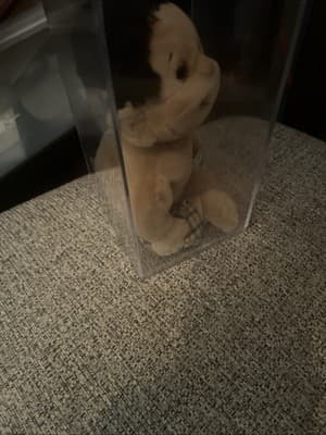 TY BEANIE KIDS - RASCAL - NEW - MINT with MINT TAG Protector + Plastic Case - Thumbnail 2