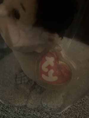 TY BEANIE KIDS - RASCAL - NEW - MINT with MINT TAG Protector + Plastic Case - Thumbnail 4