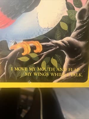 Talking Toucan Electronic Toy "I can repeat what you say" 1994 Vtg Tested, Works - Thumbnail 5