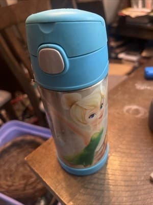 THERMOS Funtainer Steel Vacuum Insulated Drink Bottle Disney Cinderella - Image 1