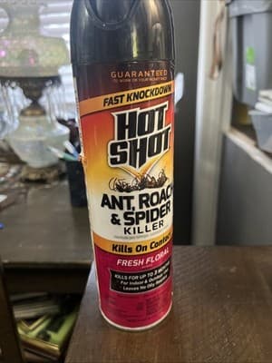 Hot Shot Ant, Roach & Spider Killer Spray 17.05 oz - Image 1