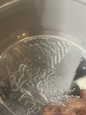 Arcoroc France Vintage Christmas Plates Embossed Clear Glass Sleigh Ride 7.5" - Thumbnail 3