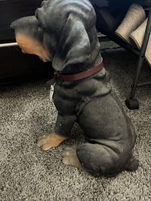 C& F Corp Rottweiler Figurine With Collar 1.5’ Tall NWT - Thumbnail 4