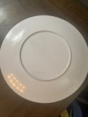 Tabletop Melamine Plate~White/ Multi-Color Dots - Thumbnail 4