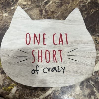 ONE CAT SHORT OF CRAZY Wall Hanging NEW Feline Lovers DECOR Picture - Image 1