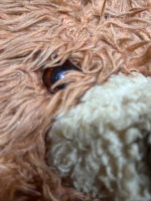 VintagE 24" Dollcraft Nov Fluffy Beige Teddy Bear ~ Orange Eyes ~ Plastic Nose - Thumbnail 4