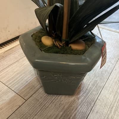 Large Green Ceramic Glass Pot With White Orchids 33” Tall - Thumbnail 3