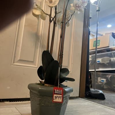 Large Green Ceramic Glass Pot With White Orchids 33” Tall - Thumbnail 5