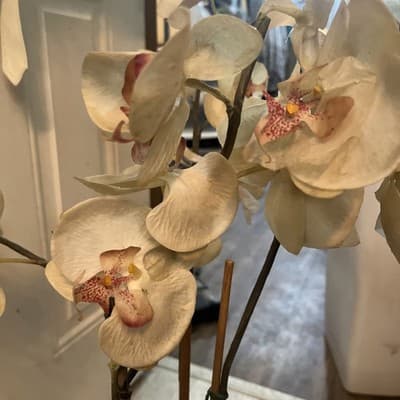 Large Green Ceramic Glass Pot With White Orchids 33” Tall - Thumbnail 4