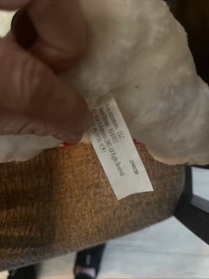 Vintage 2002 New Adventures Valentine’s Day stuffed white puppy dog That Talks - Thumbnail 4