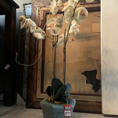 Large Green Ceramic Glass Pot With White Orchids 33” Tall - Thumbnail 2