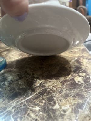 New Vintage Set Teacup and Saucer Raised Gold 3D Floral On Saucer White Handle - Thumbnail 5