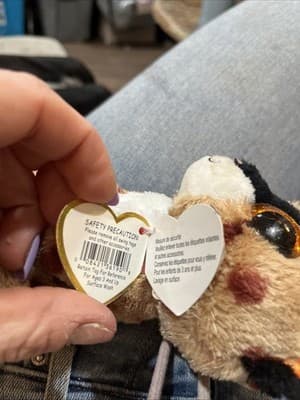 Ty Beanie Boos - BUCKWHEAT the Lynx Cat 6" NEW MWMTs Plush Stuffed Animal Toy - Thumbnail 7