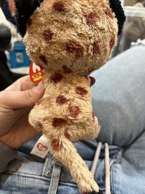 Ty Beanie Boos - BUCKWHEAT the Lynx Cat 6" NEW MWMTs Plush Stuffed Animal Toy - Thumbnail 4