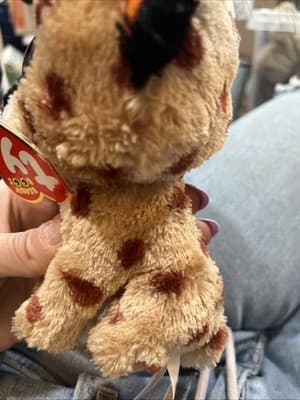 Ty Beanie Boos - BUCKWHEAT the Lynx Cat 6" NEW MWMTs Plush Stuffed Animal Toy - Thumbnail 3