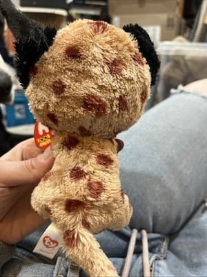 Ty Beanie Boos - BUCKWHEAT the Lynx Cat 6" NEW MWMTs Plush Stuffed Animal Toy - Thumbnail 5