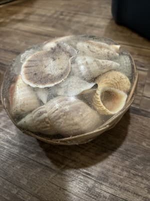 5.5 Inch Basket of Sea Shells New Sealed Beach Sand Vacation at Home Sealed - Image 1