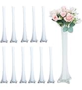 Hand and hand sugar scrub in Juniper berry 59 mL - Thumbnail 3