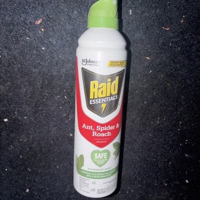 Raid Essentials Organic Ant & Roach Killer Aerosol Spray Essential Oils 10 oz - Image 1
