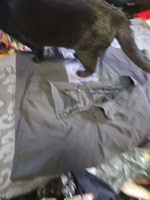 George pants Women 18W Average dark gray Slacks stretch Think Slim tummy control - Image 1