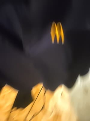 Brand New 3 4th Sleeve Manager Shirt Navy Blue 3xl - Thumbnail 2