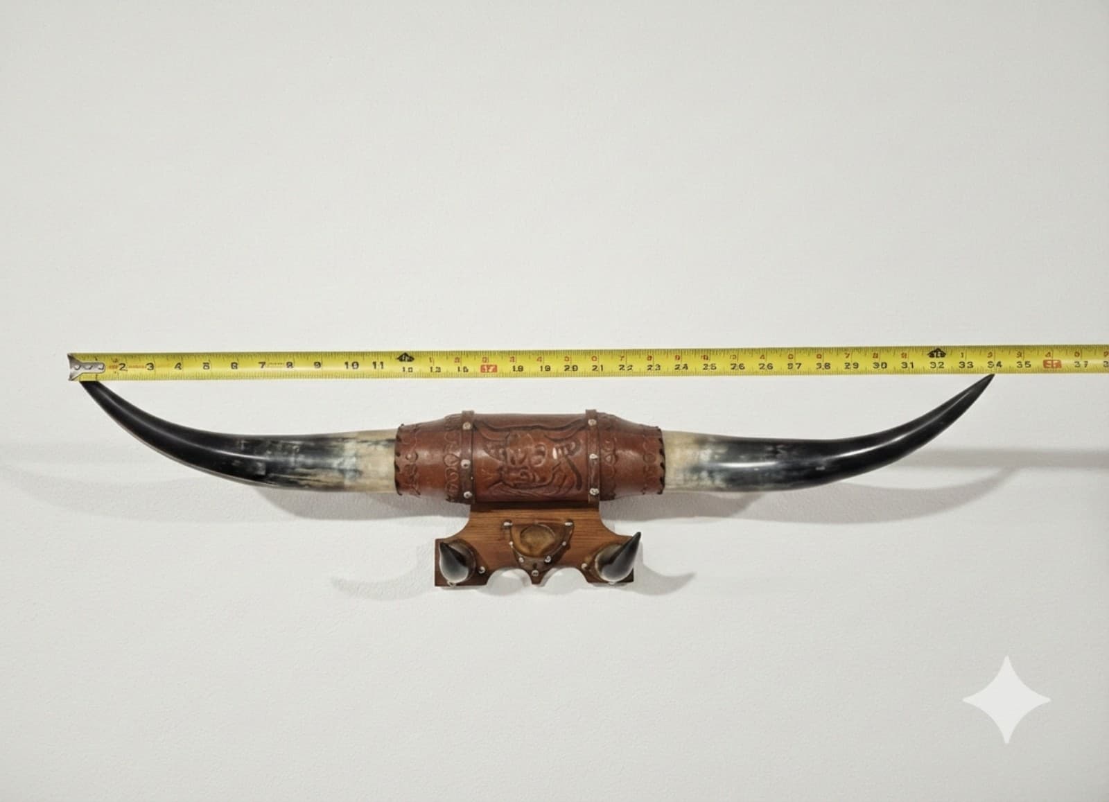 Vintage 34" Mounted Steer Horns - Thumbnail 2