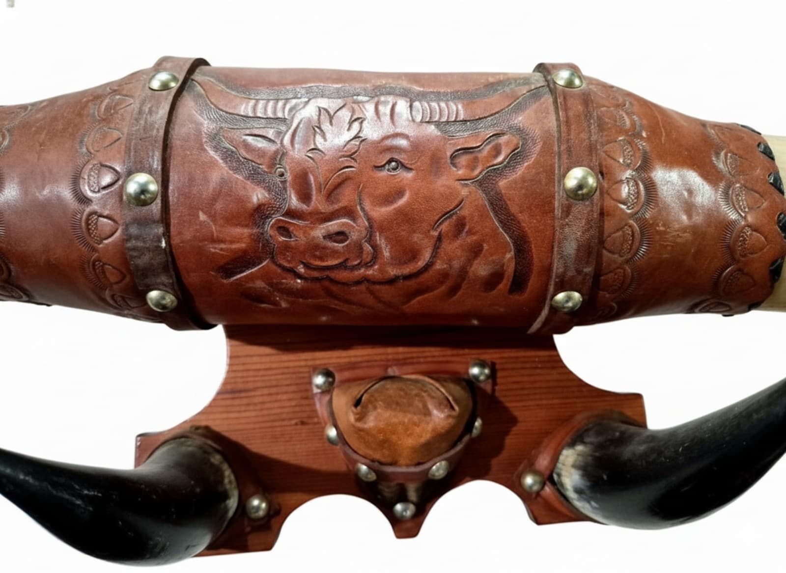 Vintage 34" Mounted Steer Horns - Thumbnail 3