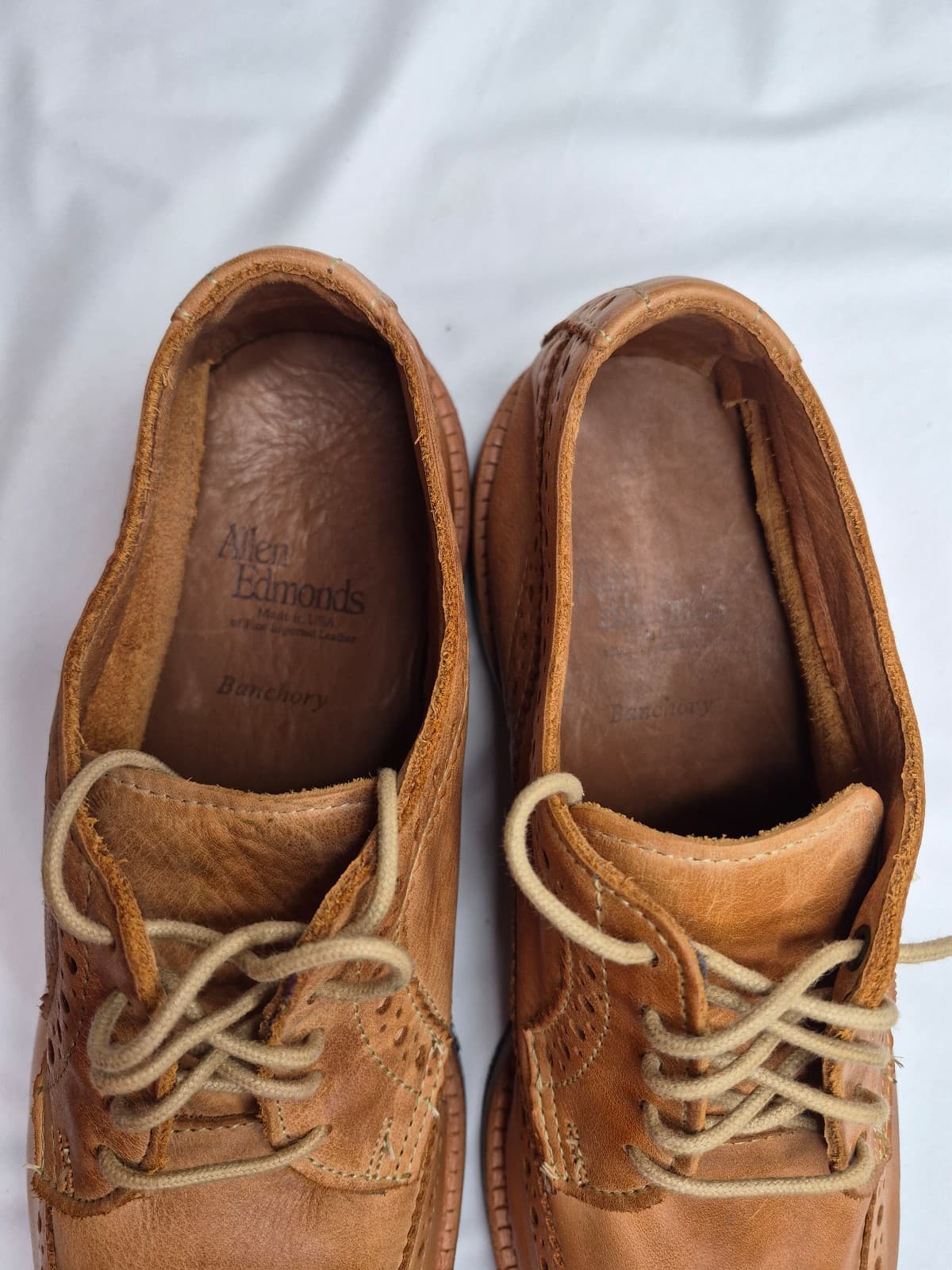 Allen Edmonds Banchory Wingtip Oxford - Thumbnail 6