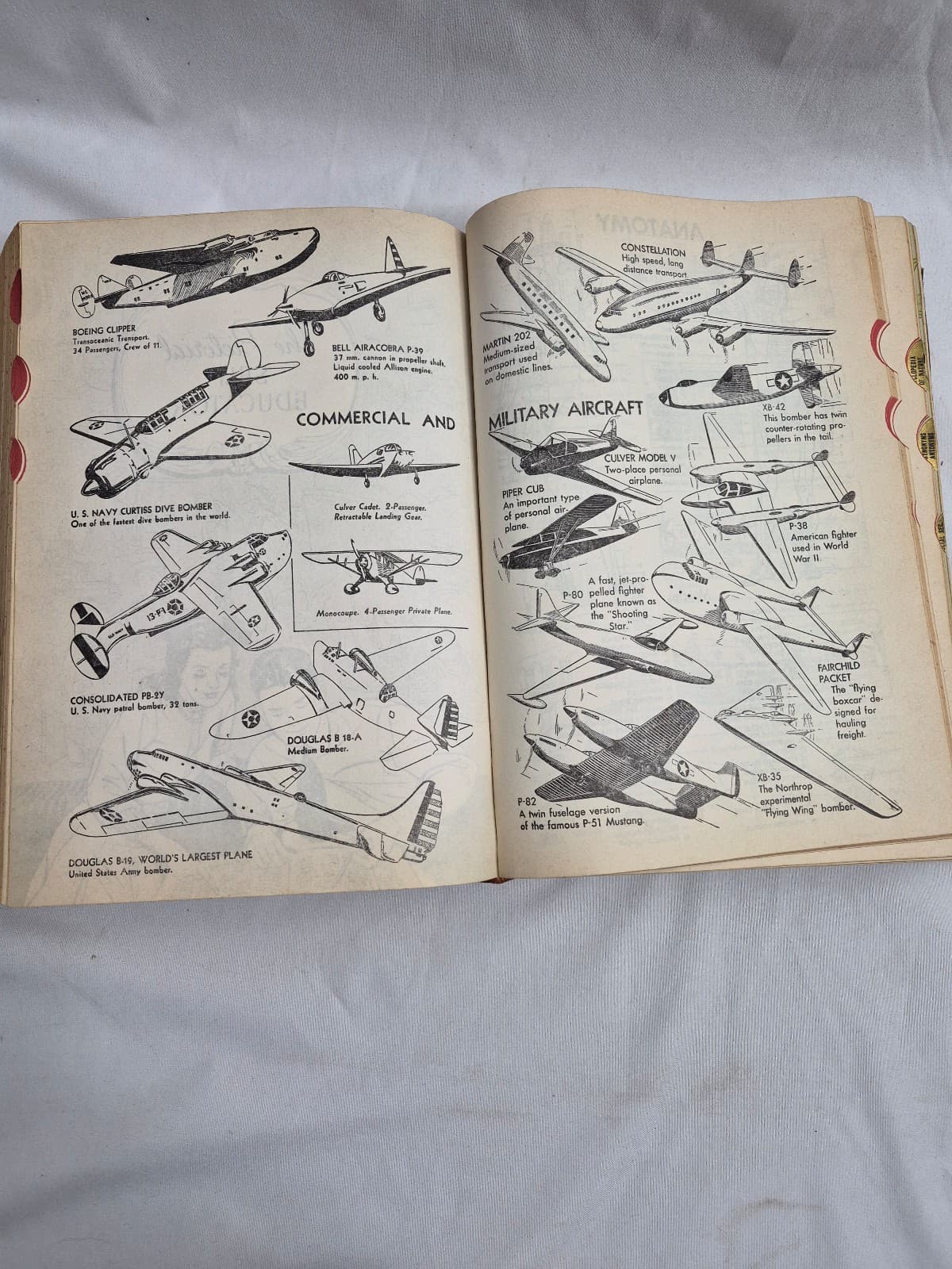 1958 The Standard Book of Essential Knowledge - Thumbnail 4