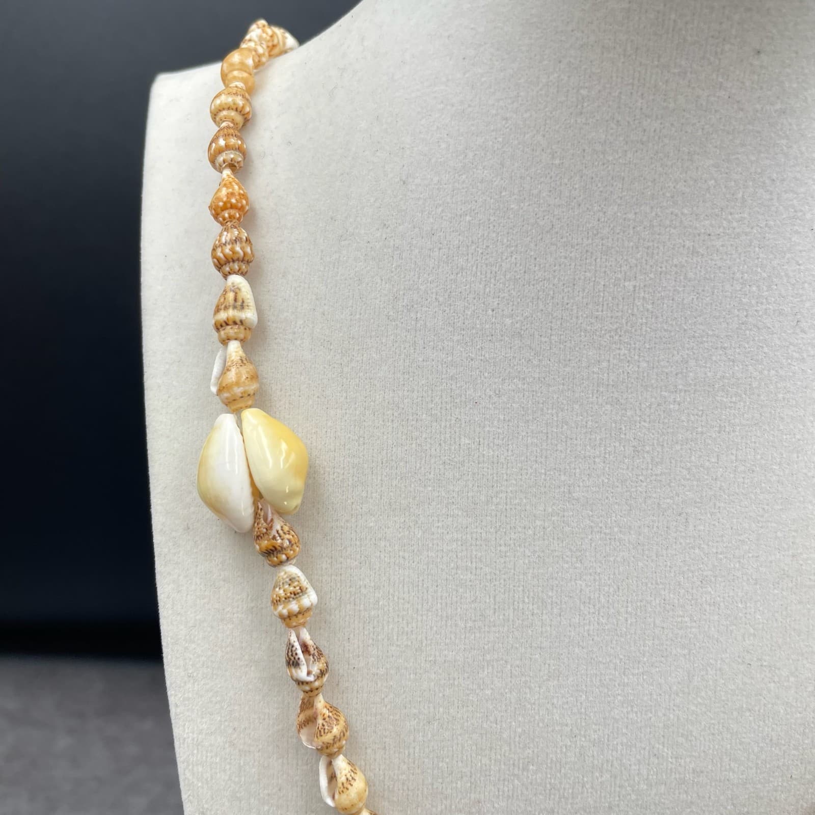 Contemporary White Cord Cerith Cowrie Natural Sea Shell Beaded Pendant Necklace - Thumbnail 3
