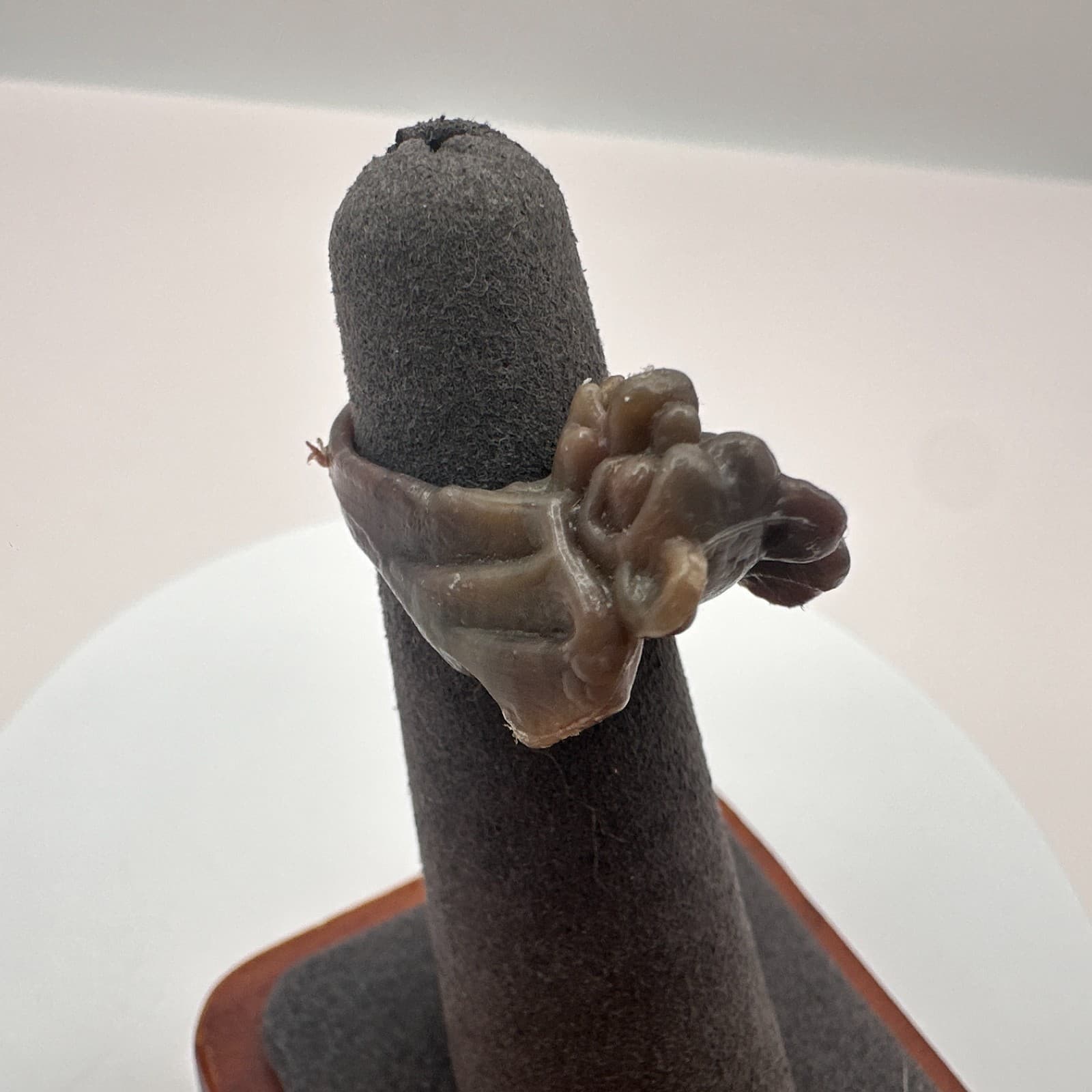 Vintage 80s Carved Water Buffalo Horn Ring Organic Sculptural Statement Jewelry - Image 1