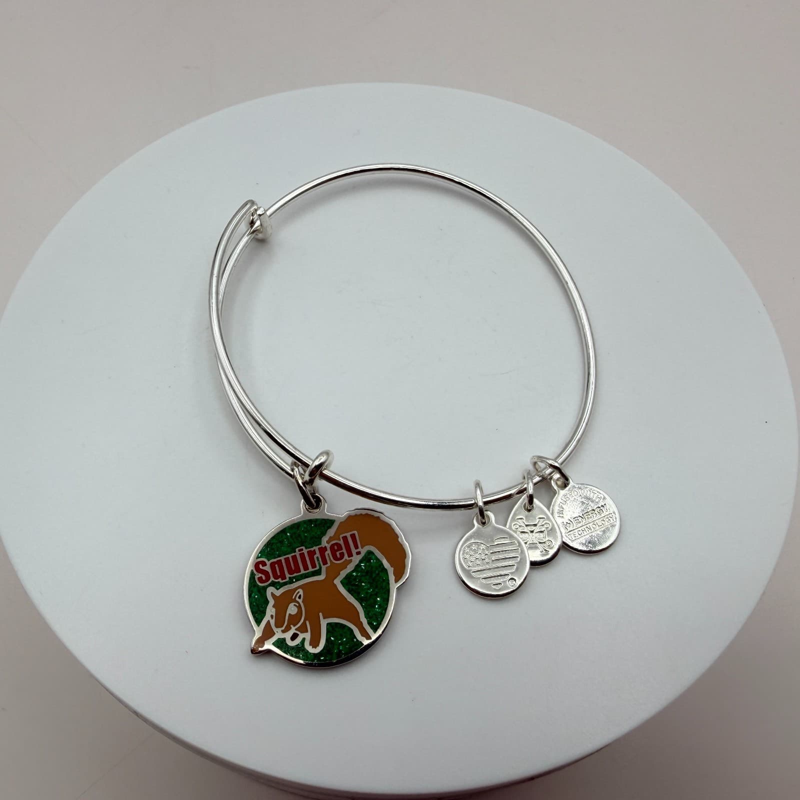 VTG 90s Alex and Ani Squirrel Silver Tone Charm Bangle Bracelet Women's Jewelry - Thumbnail 3