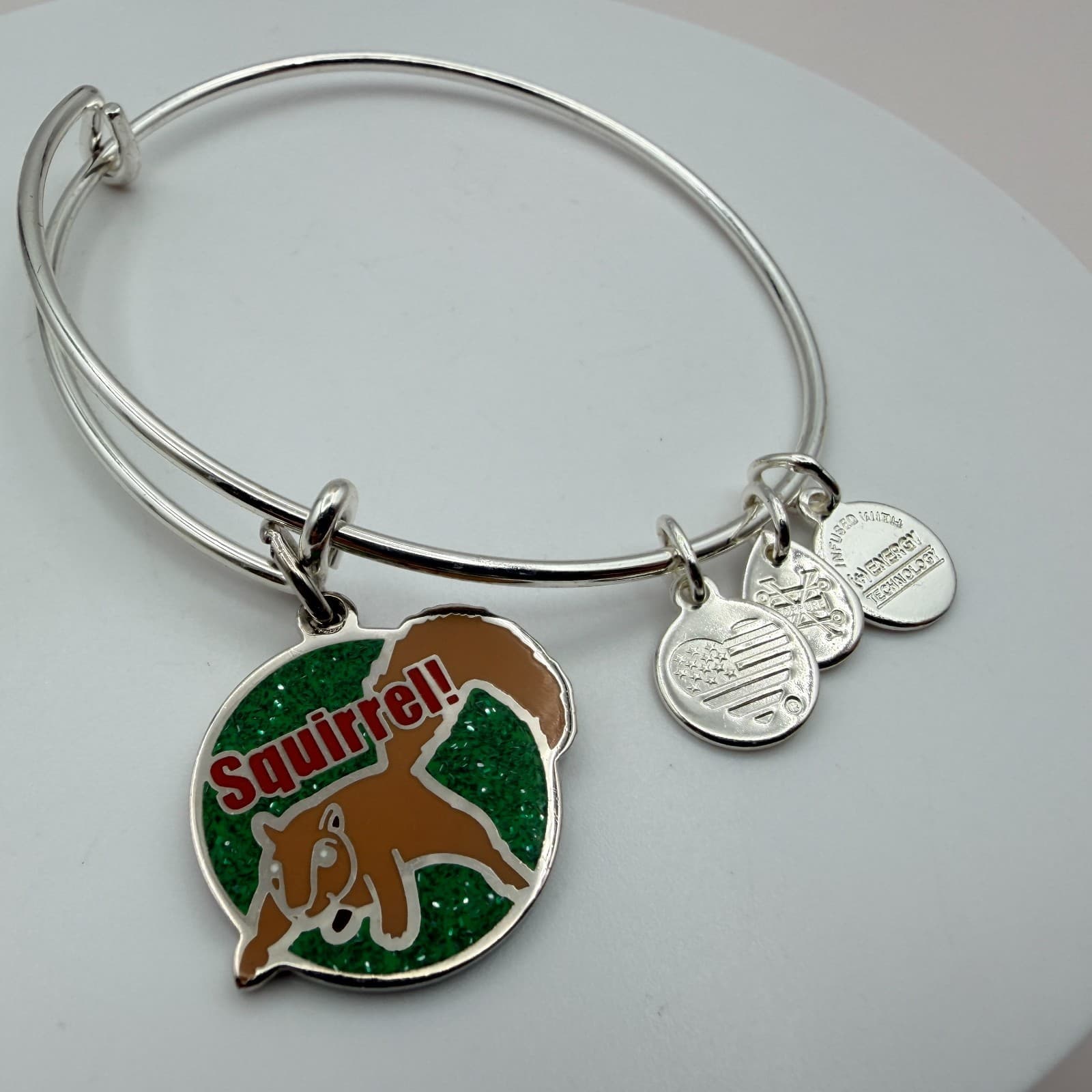 VTG 90s Alex and Ani Squirrel Silver Tone Charm Bangle Bracelet Women's Jewelry - Thumbnail 5