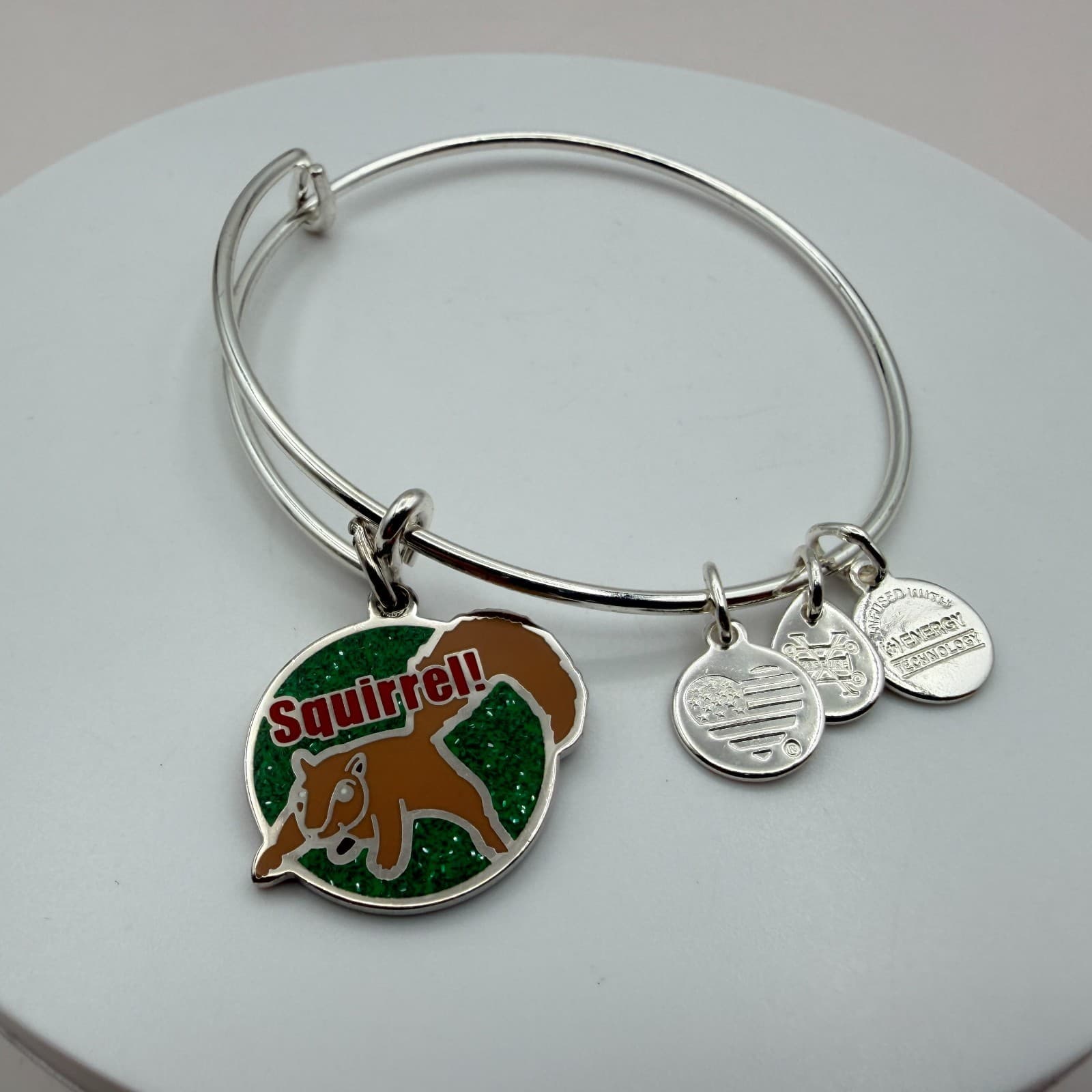 VTG 90s Alex and Ani Squirrel Silver Tone Charm Bangle Bracelet Women's Jewelry - Thumbnail 4