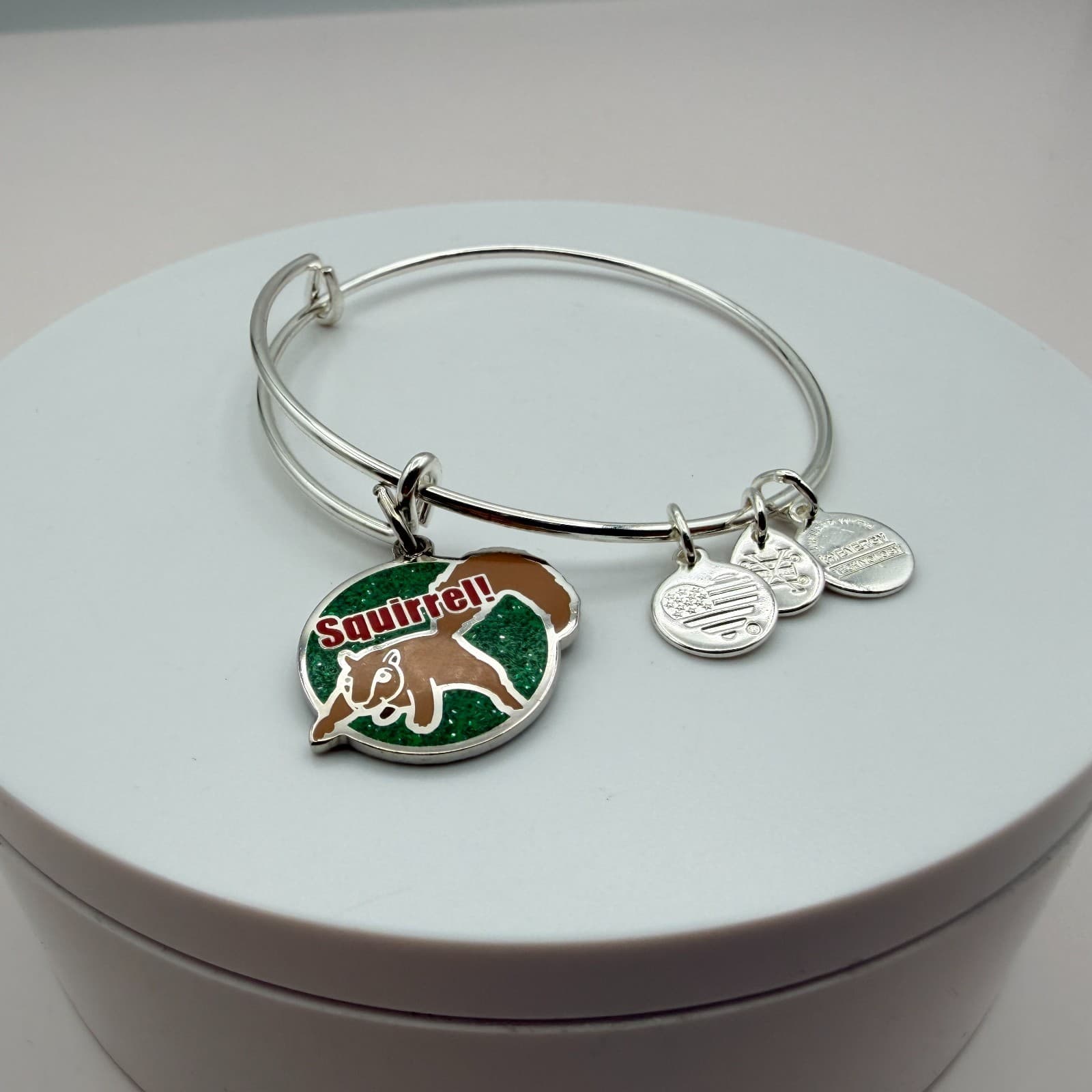 VTG 90s Alex and Ani Squirrel Silver Tone Charm Bangle Bracelet Women's Jewelry - Thumbnail 6